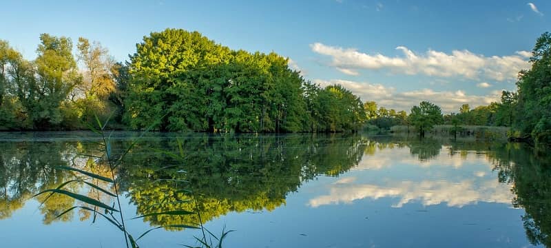 étang dans le calvados