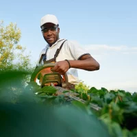 jardinier s'occupant du jardin